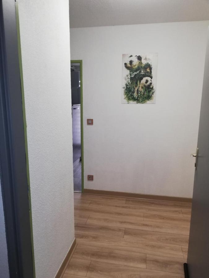Grand T3 Avec Clim, Parking Et Terrasse Privative - Agen Apartment Exterior foto
