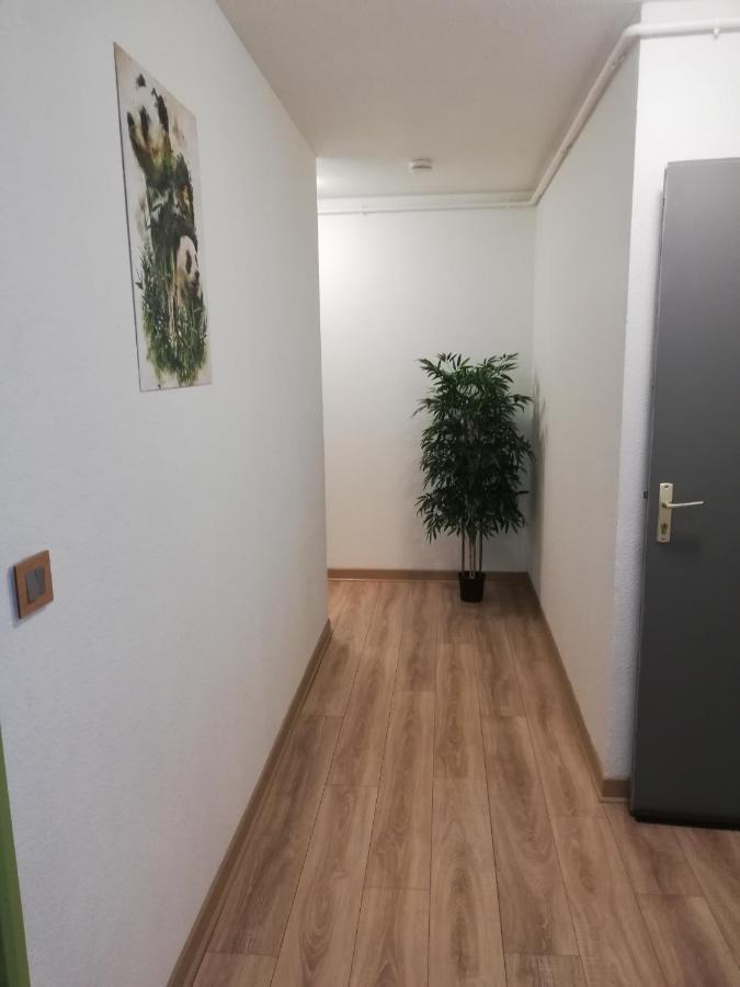 Grand T3 Avec Clim, Parking Et Terrasse Privative - Agen Apartment Exterior foto
